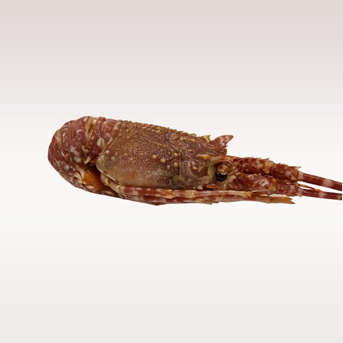 Image 1 of Lobster