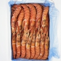 Image 0 of Argentine red shrimp