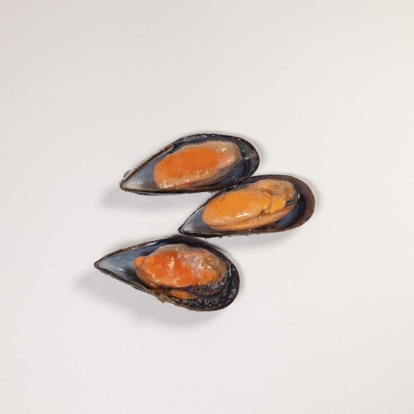 Half-shell mussels